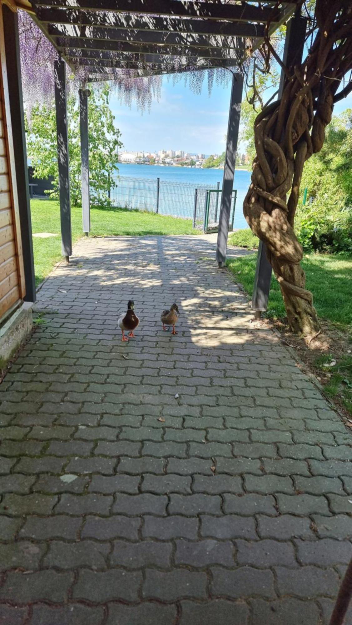Topsenec-Lakeside Home Luaran gambar